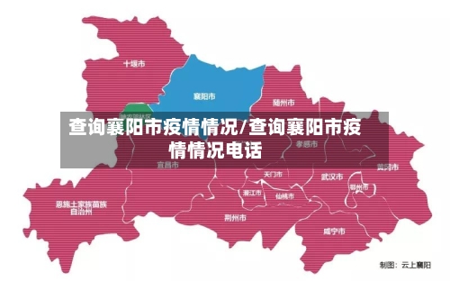 查询襄阳市疫情情况/查询襄阳市疫情情况电话-第2张图片