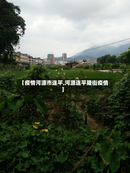 【疫情河源市连平,河源连平隆街疫情】-第3张图片