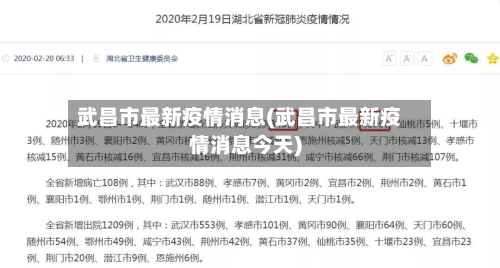 武昌市最新疫情消息(武昌市最新疫情消息今天)-第1张图片