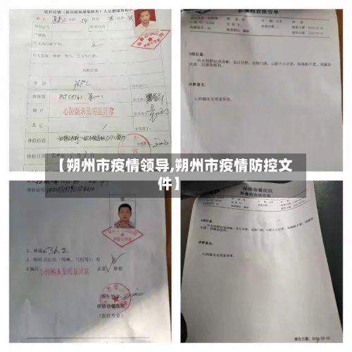 【朔州市疫情领导,朔州市疫情防控文件】