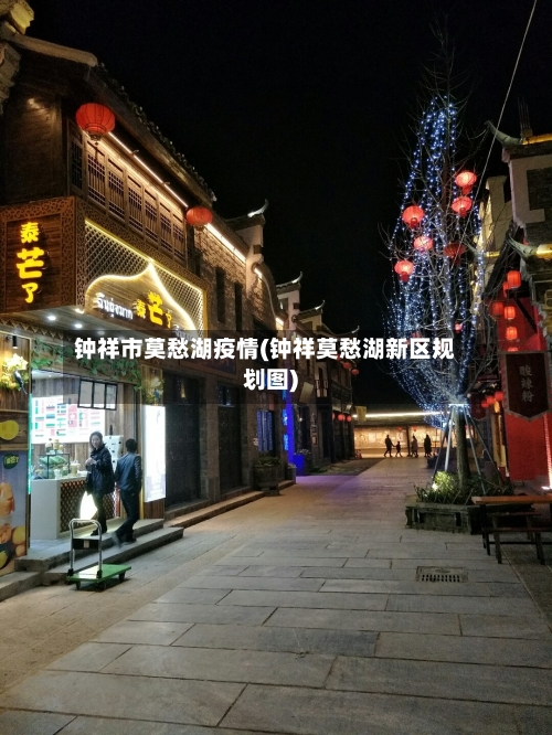 钟祥市莫愁湖疫情(钟祥莫愁湖新区规划图)