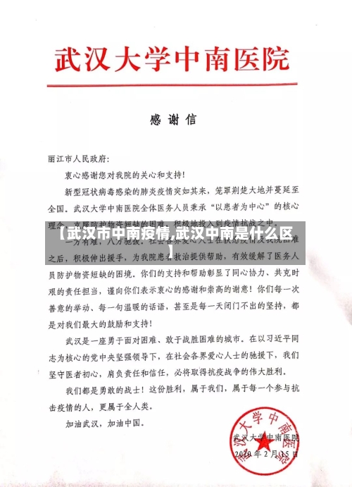 【武汉市中南疫情,武汉中南是什么区】-第3张图片