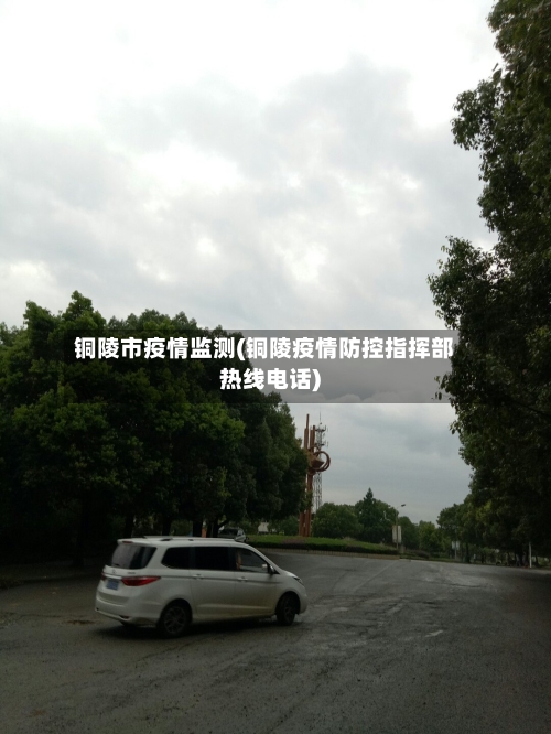 铜陵市疫情监测(铜陵疫情防控指挥部热线电话)-第1张图片