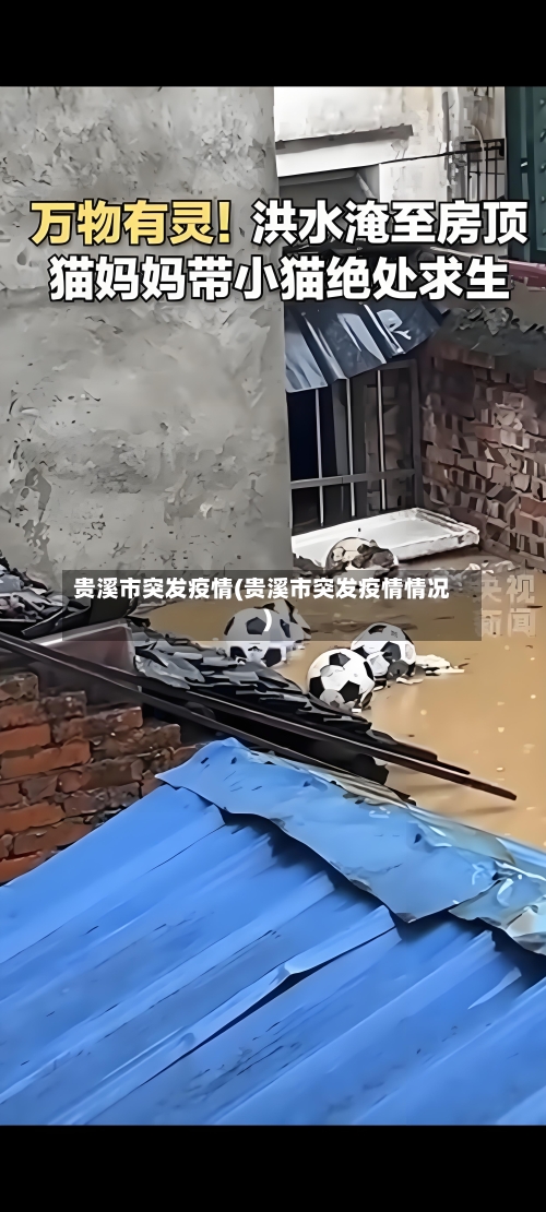 贵溪市突发疫情(贵溪市突发疫情情况)