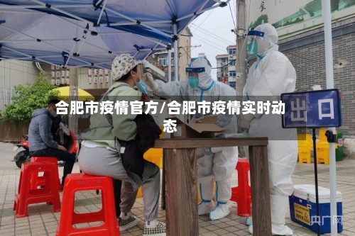 合肥市疫情官方/合肥市疫情实时动态-第2张图片