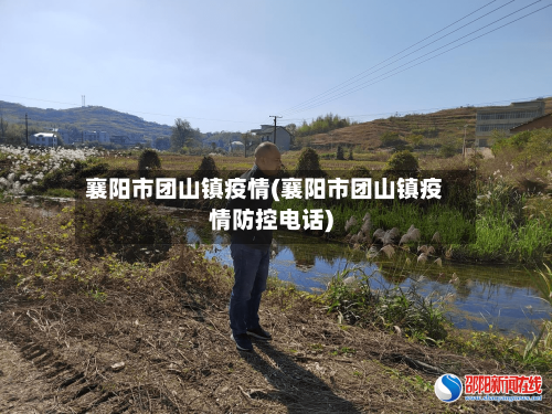 襄阳市团山镇疫情(襄阳市团山镇疫情防控电话)