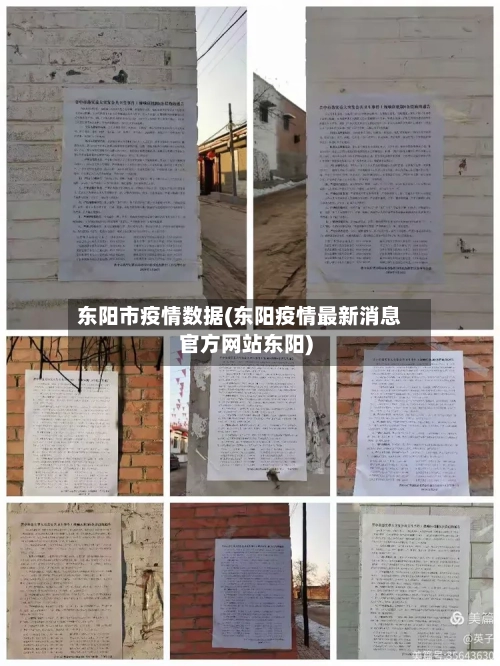 东阳市疫情数据(东阳疫情最新消息官方网站东阳)-第1张图片