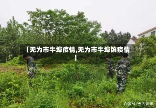 【无为市牛埠疫情,无为市牛埠镇疫情】-第2张图片