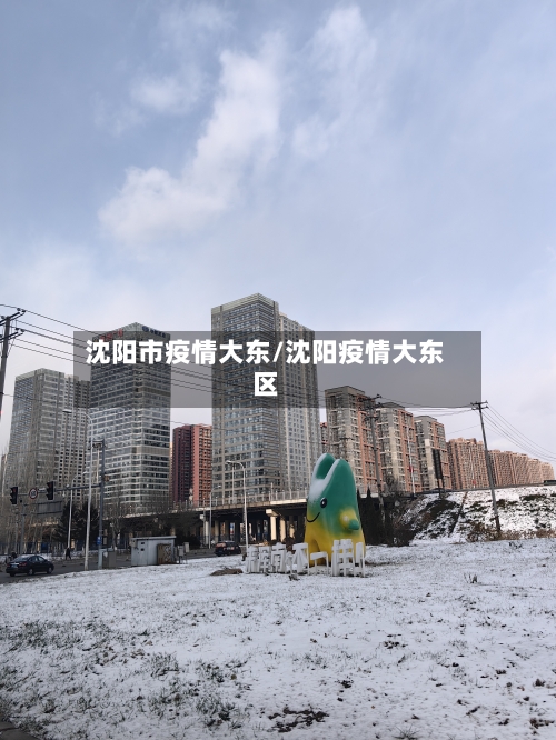 沈阳市疫情大东/沈阳疫情大东区-第1张图片
