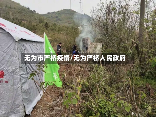 无为市严桥疫情/无为严桥人民政府-第1张图片