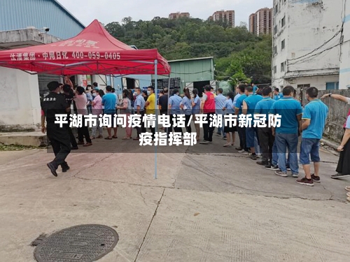 平湖市询问疫情电话/平湖市新冠防疫指挥部