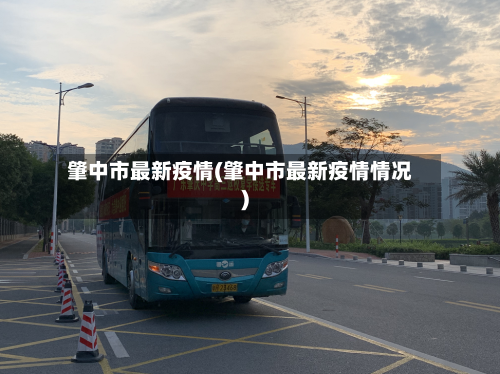 肇中市最新疫情(肇中市最新疫情情况)-第2张图片