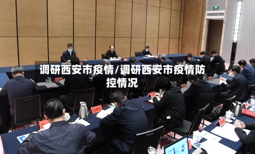 调研西安市疫情/调研西安市疫情防控情况-第2张图片