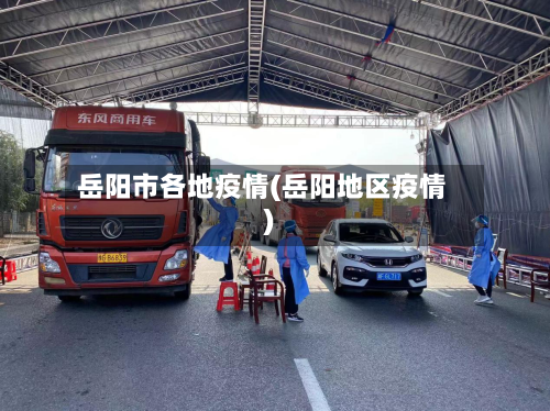 岳阳市各地疫情(岳阳地区疫情)