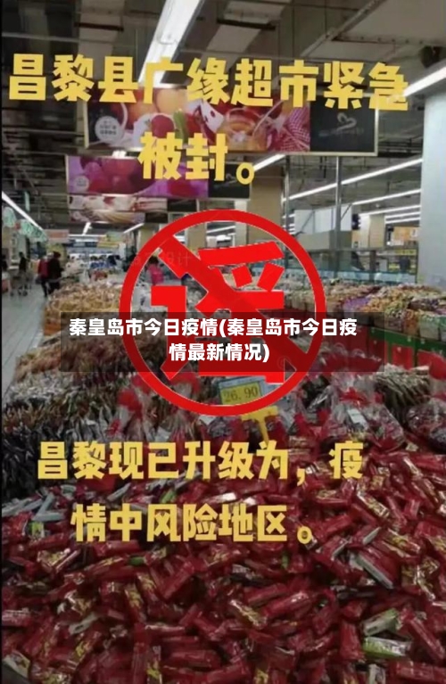 秦皇岛市今日疫情(秦皇岛市今日疫情最新情况)-第2张图片