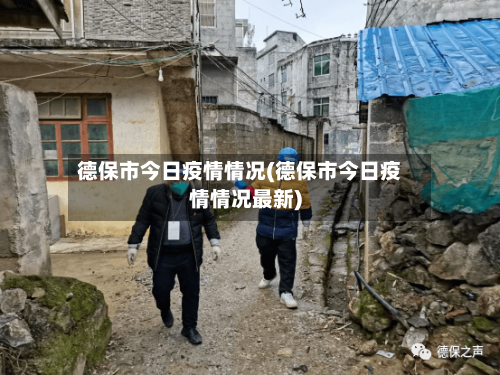 德保市今日疫情情况(德保市今日疫情情况最新)-第3张图片