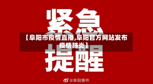 【阜阳市疫情直播,阜阳官方网站发布疫情肺炎】-第3张图片