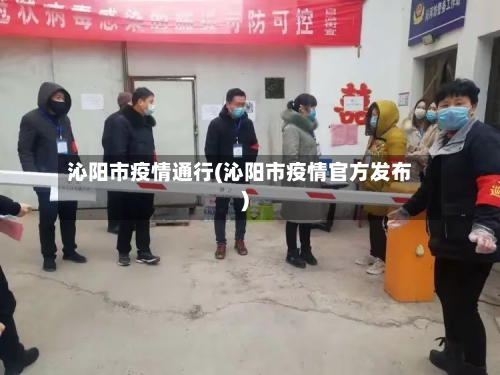 沁阳市疫情通行(沁阳市疫情官方发布)-第1张图片