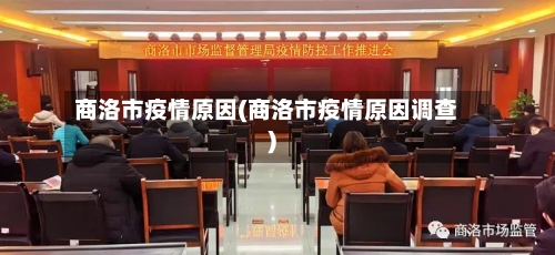 商洛市疫情原因(商洛市疫情原因调查)-第1张图片