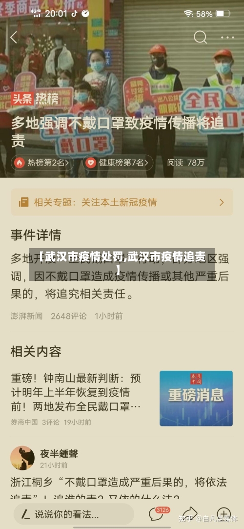 【武汉市疫情处罚,武汉市疫情追责】-第3张图片