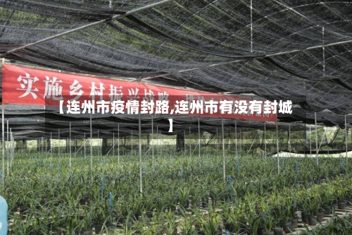 【连州市疫情封路,连州市有没有封城】-第1张图片