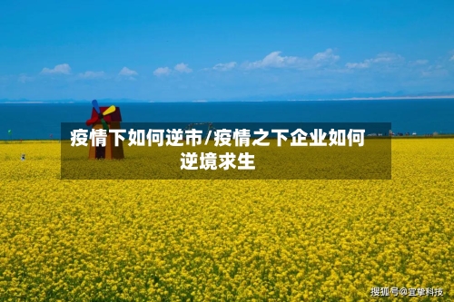 疫情下如何逆市/疫情之下企业如何逆境求生-第1张图片
