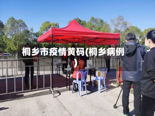 桐乡市疫情黄码(桐乡病例)-第2张图片