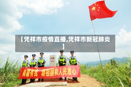 【凭祥市疫情直播,凭祥市新冠肺炎】-第2张图片