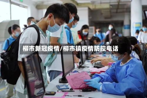 柳市新冠疫情/柳市镇疫情防控电话-第3张图片