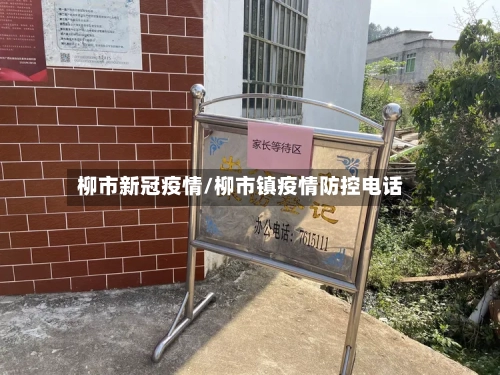 柳市新冠疫情/柳市镇疫情防控电话-第2张图片