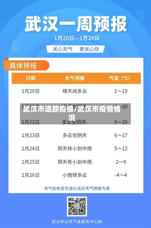 武汉市追踪疫情/武汉市疫情情况-第1张图片