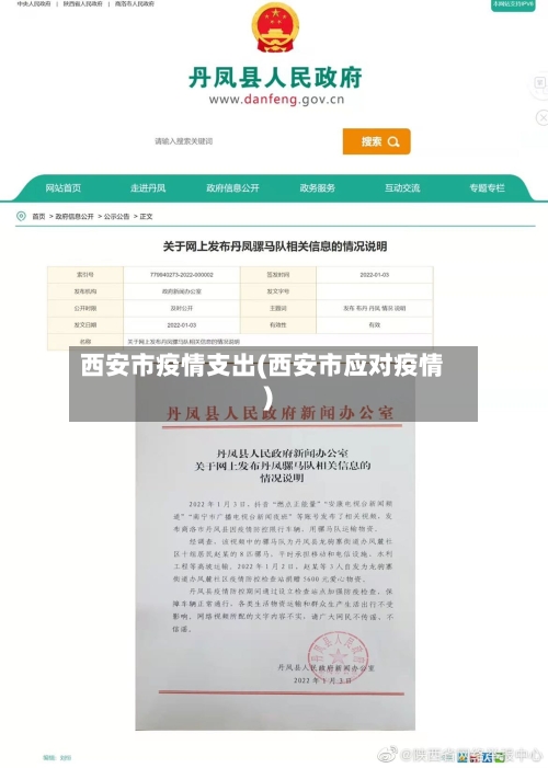 西安市疫情支出(西安市应对疫情)-第2张图片