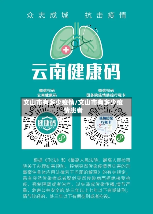 文山市有多少疫情/文山市有多少疫情患者-第2张图片