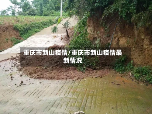 重庆市新山疫情/重庆市新山疫情最新情况-第3张图片
