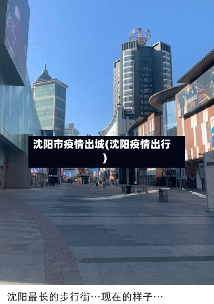 沈阳市疫情出城(沈阳疫情出行)-第2张图片
