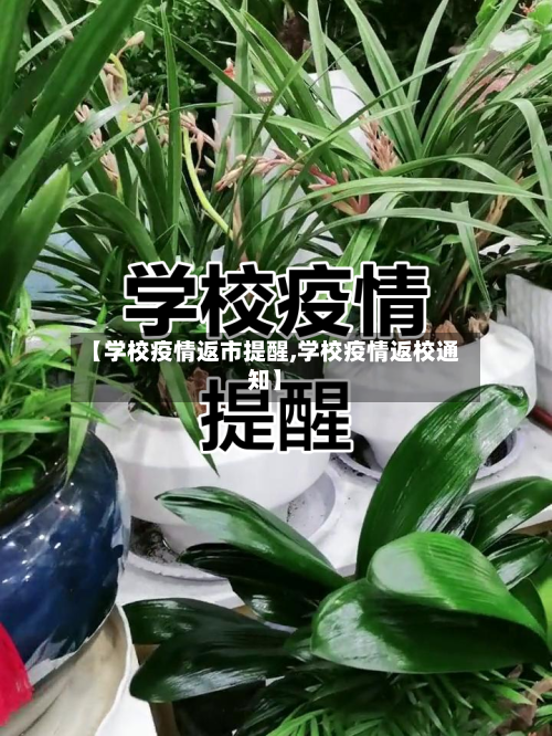 【学校疫情返市提醒,学校疫情返校通知】-第2张图片