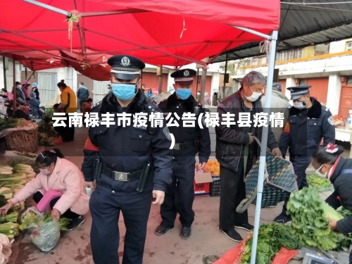 云南禄丰市疫情公告(禄丰县疫情)-第2张图片