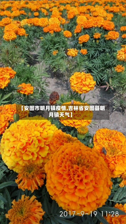 【安图市明月镇疫情,吉林省安图县明月镇天气】-第2张图片