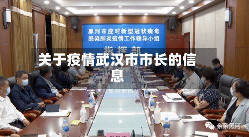 关于疫情武汉市市长的信息