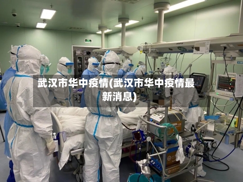 武汉市华中疫情(武汉市华中疫情最新消息)-第2张图片