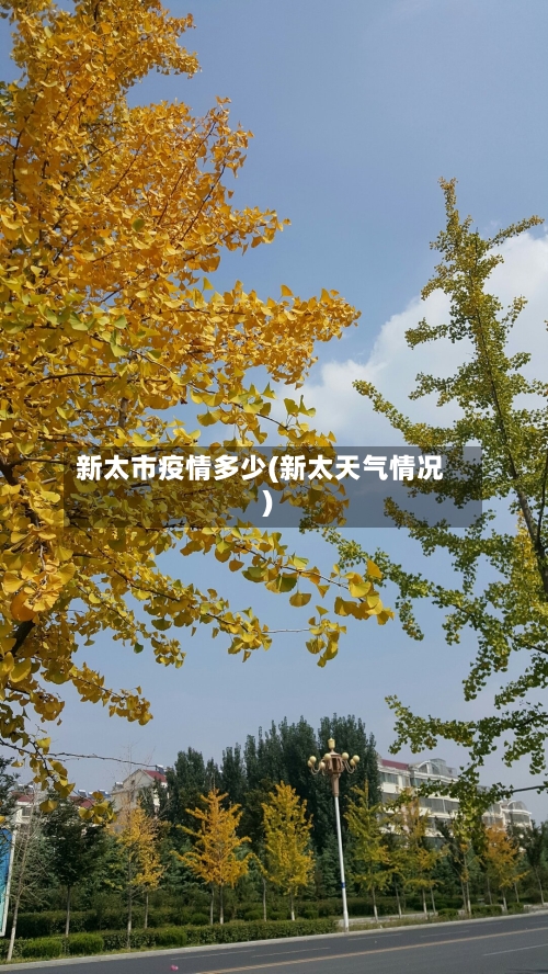 新太市疫情多少(新太天气情况)-第3张图片