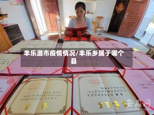 丰乐潞市疫情情况/丰乐乡属于哪个县-第2张图片