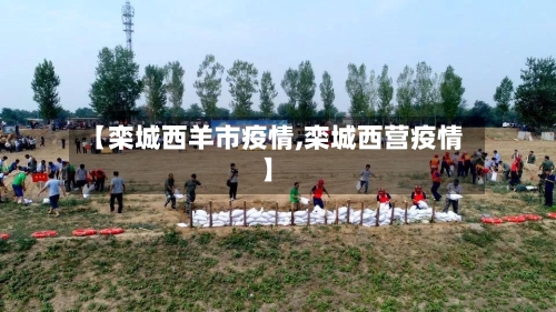 【栾城西羊市疫情,栾城西营疫情】