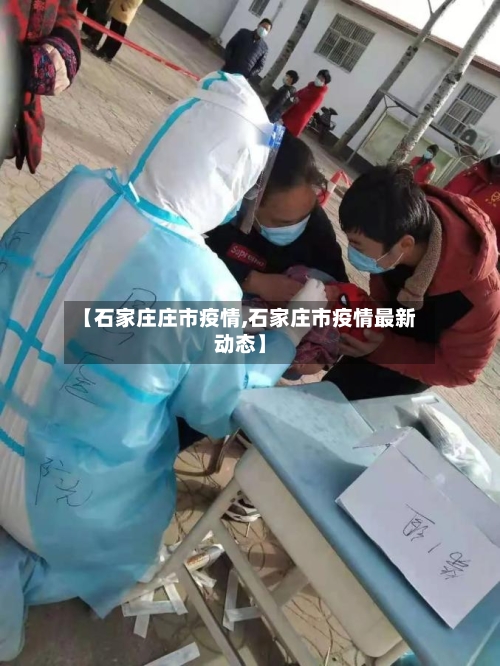 【石家庄庄市疫情,石家庄市疫情最新动态】-第2张图片
