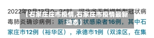 【石家庄庄市疫情,石家庄市疫情最新动态】-第1张图片