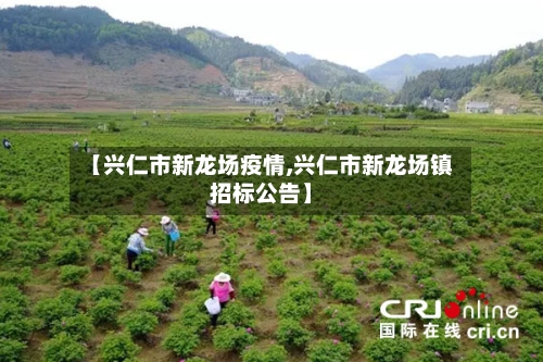 【兴仁市新龙场疫情,兴仁市新龙场镇招标公告】