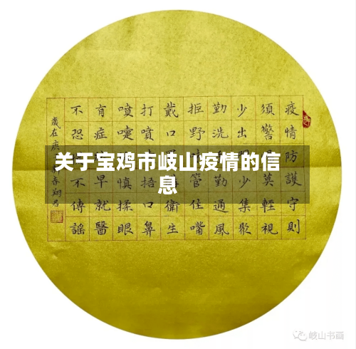 关于宝鸡市岐山疫情的信息-第2张图片