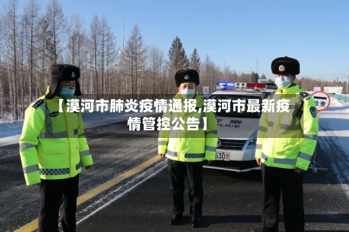 【漠河市肺炎疫情通报,漠河市最新疫情管控公告】-第2张图片