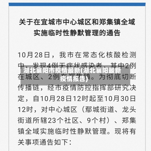 湖北襄阳市疫情最新(湖北襄阳最新疫情报告)-第1张图片