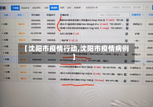 【沈阳市疫情行动,沈阳市疫情病例】-第3张图片
